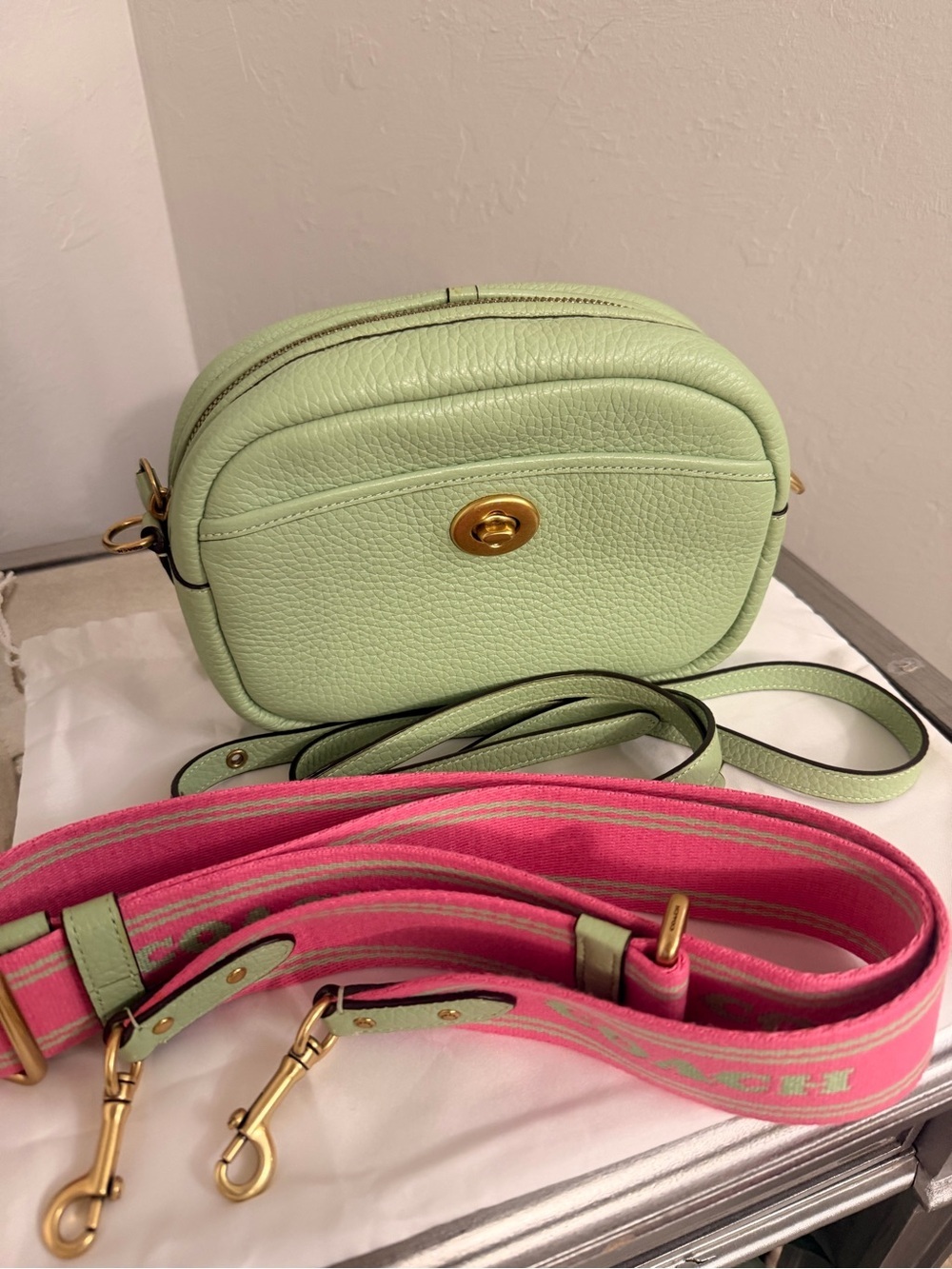 COACH Soft Pebble Leather Camera Bag in the color pale pistachio